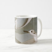 Mug Audubon : La mouette de Bonaparte (Devant droit)