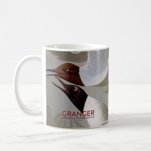 Mug Audubon : La mouette de Bonaparte (Gauche)