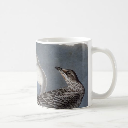 Mug Audubon : Mouette Anneau-Affichée (Droite)