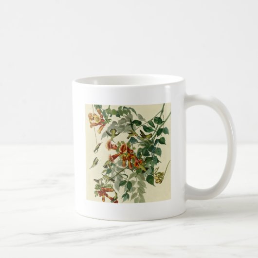 Mug Audubon Throsé de colibri (Droite)