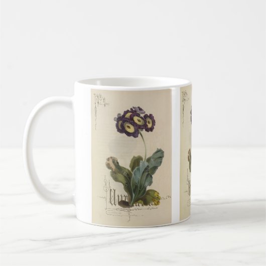 Mug Auricula par Paul Jerrard (Gauche)