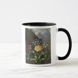 Mug Auricules de Dr. John Robert Thornton's