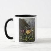 Mug Auricules de Dr. John Robert Thornton's (Gauche)