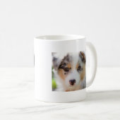 Mug Australian shepherd puppy (Devant droit)