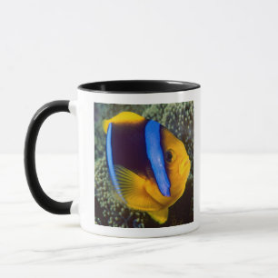 Mug Australie, Grande Barrière de corail, Poisson-clow