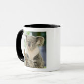 Mug Australie, Queensland, Brisbane, Fig Tree (Devant gauche)