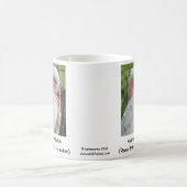 Mug Australien Galah (cacatoès rose de Breasted) (Centre)