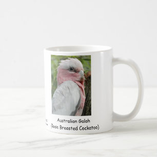 Mug Australien Galah (cacatoès rose de Breasted)