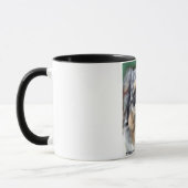 Mug australishepherd (Gauche)