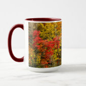 Mug Automne à Sims Pond North Carolina, Blue Ridge (Gauche)