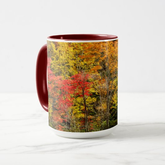 Mug Automne à Sims Pond North Carolina, Blue Ridge (Devant gauche)