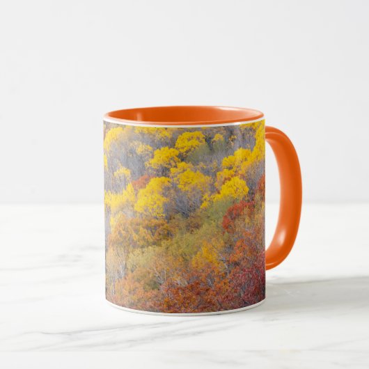 Mug Automne dans le Michigan (Devant droit)