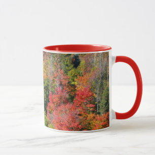 Mug Automne Hillside Colorful Automne Nature Photograp