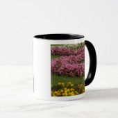 Mug Autriche, Vienne. Baroque de Marie-Thérèse (Devant droit)