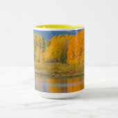 Mug Autumn Colored Aspen Trees (Centre)