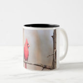 Mug avec photo d'un cardinal du nord mâle (Devant droit)