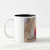 Mug avec photo d'un cardinal du nord mâle (Gauche)