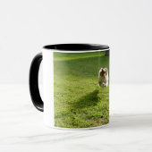 Mug avec photo originale de Sheltie bondissante (Devant gauche)