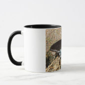 Mug avec photo originale d'un beau papillon (Gauche)