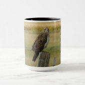 Mug B33 Buse de Swainson (Centre)