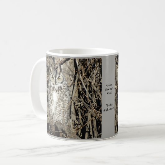 Mug B51 Chouette à cornes (Devant gauche)