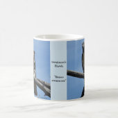 Mug B54 Buse de Swainson (Centre)