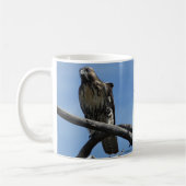 Mug B54 Buse de Swainson (Gauche)