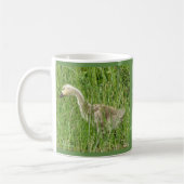 Mug B58 Oison de Bernache du Canada dans l'Herbe (Gauche)
