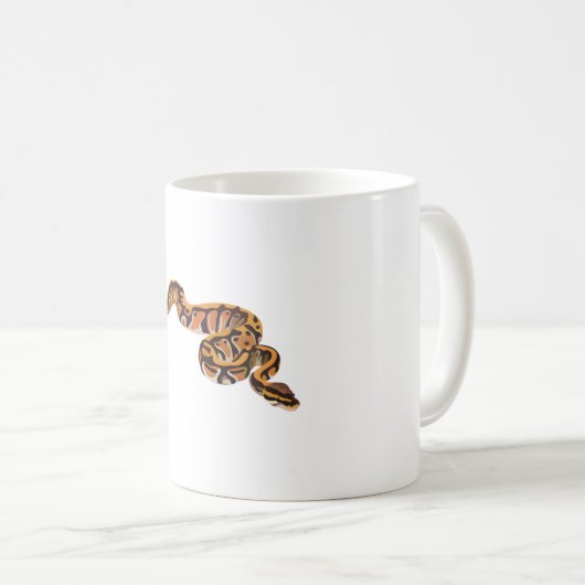 Mug B est pour Ball Python (Devant droit)