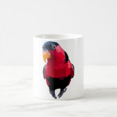 Mug B est pour Black Capped Lory (Centre)