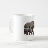 Mug B est pour Black Rhino (Devant gauche)