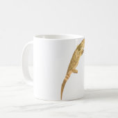 Mug B est pour le dragon barbu (Devant gauche)