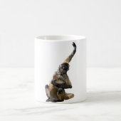 Mug B est pour le singe araignée noire (Centre)