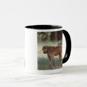 Mug Babouin d'Anubis (Devant droit)