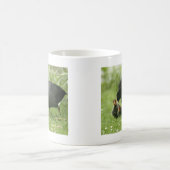 Mug Baby Moorhens (Centre)