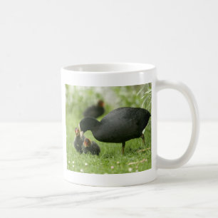 Mug Baby Moorhens