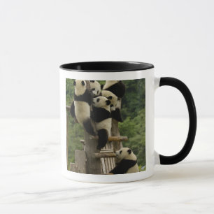 Mug Baby panda géante Ailuropoda melanoleuca)