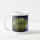 Mug Bactéries de boîte de Pétri de main (Gauche)