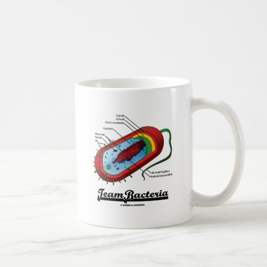 Mug Bactéries d'équipe (Prokaryote) (Droite)