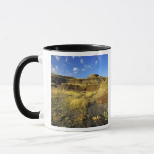 Mug Badlands au parc provincial Dinosaur en Alberta,