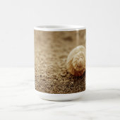 Mug Baie commune de botanique du buccin | (Centre)