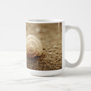 Mug Baie commune de botanique du buccin