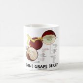 Mug Baie de raisin de cuve (anatomie) (Centre)