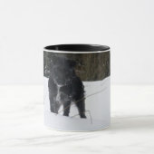 Mug Bailey le Patterdale Terrier (Centre)