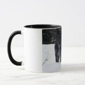 Mug Bailey le Patterdale Terrier (Gauche)