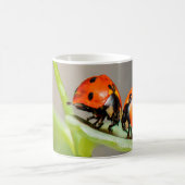 Mug Baiser Ladybugs (Centre)