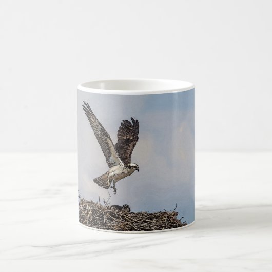 Mug Balbuzard dans un nid (Centre)