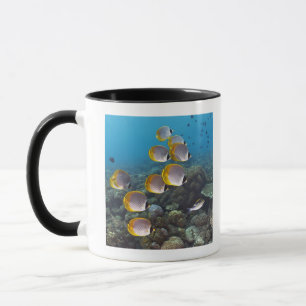 Mug Bali, Indonésie