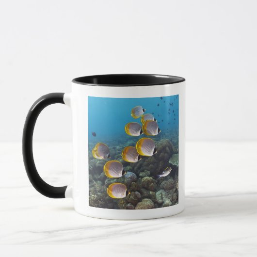Mug Bali, Indonésie (Gauche)
