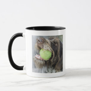 Mug Balle de tennis acérée de chien d'indicateur, plan